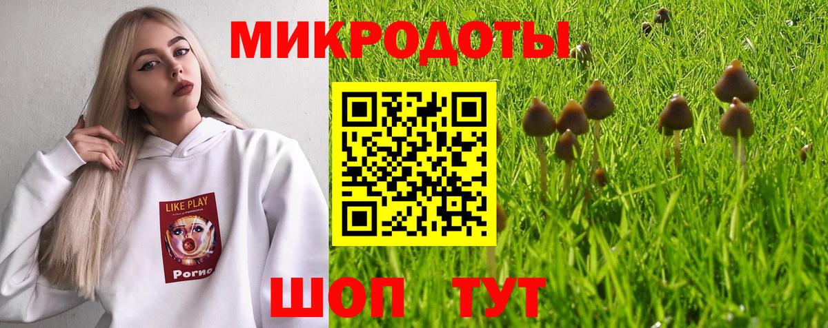 Красноармейск  Галлюциногенные грибы ЛСД  хочу наркоту  Вход с VPN 