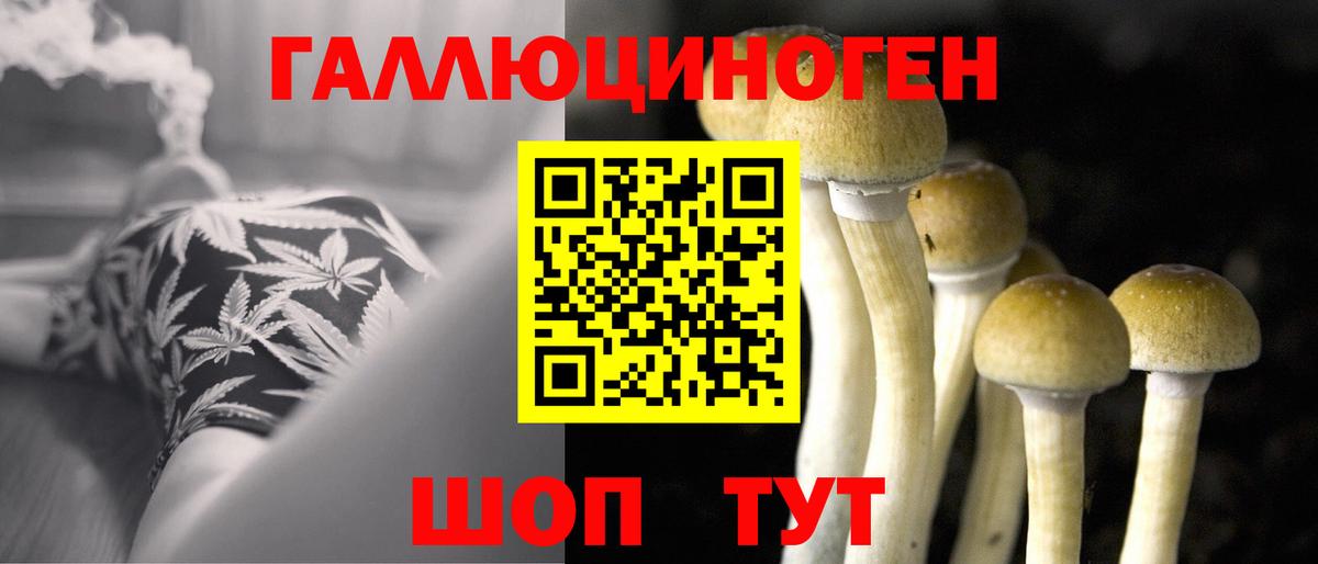 Псилоцибиновые грибы мицелий Красноармейск